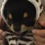 ヒロの画像