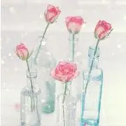 ララの画像