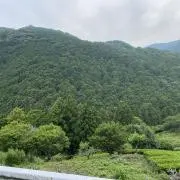 manase148の画像
