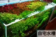 ヒロの画像