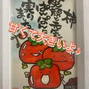 なおキングの柿の画像