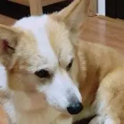 Milly_08の画像