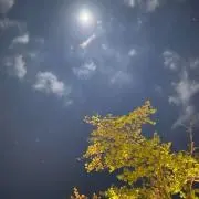 音の画像