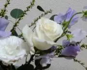 mima*プロフ確認お願いしますの画像