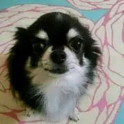 ミッキー