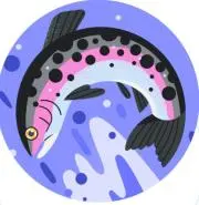 N,Oの画像