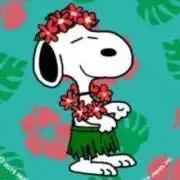 Alohaの画像