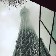 なちゃしの画像