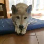 りょう