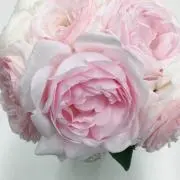 kumirishiaの画像