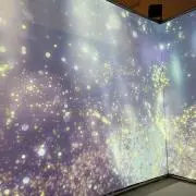パチヨル