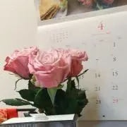あきの画像