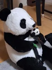 村正の画像