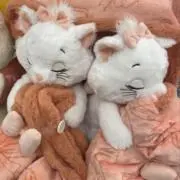ガムテープの画像