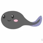 おたまじゃくし