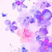 琉花の画像