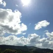 pepedunzlyの画像
