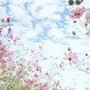そら　プロフ必読☪︎⋆。の画像