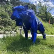 ぶるーたいがーの画像