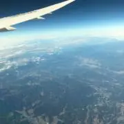 みかんの画像