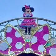 N. 平日発送　土日、祝日発送不可の画像