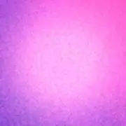 an︎︎✿古着shopの画像