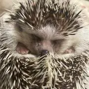 つと(๑´ڡ`๑)