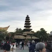 ワタナの画像