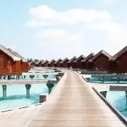 jenesis31の画像