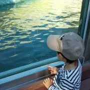 KRTの画像