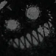 Seventhの画像