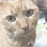 久美子  ✯購入前にプロフ確認!!の画像
