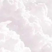 ひなわんこ@値下げ交渉⭕️の画像