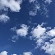loloの画像