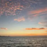 ゆの画像