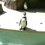 ロンドの画像