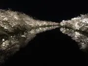 さくら