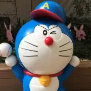 サクラの画像