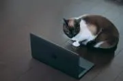 万百貨の画像