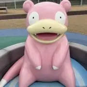 ぽんたの画像
