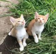 Pす♡     **プロフ必読**の画像