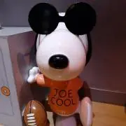 ニコの画像
