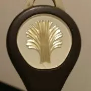 CIMAの画像