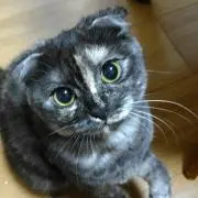 プログ必読♥️tetotenkoji♥️