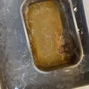 コタローの画像