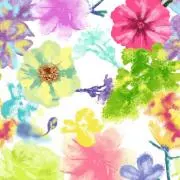 ぽんこ