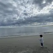 星龍白の画像