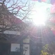 しゅう