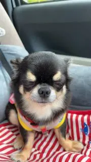 ミミ※プロフ必読の画像