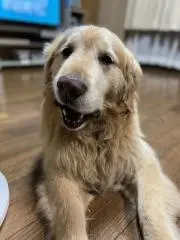 手作りハワイアン雑貨の画像